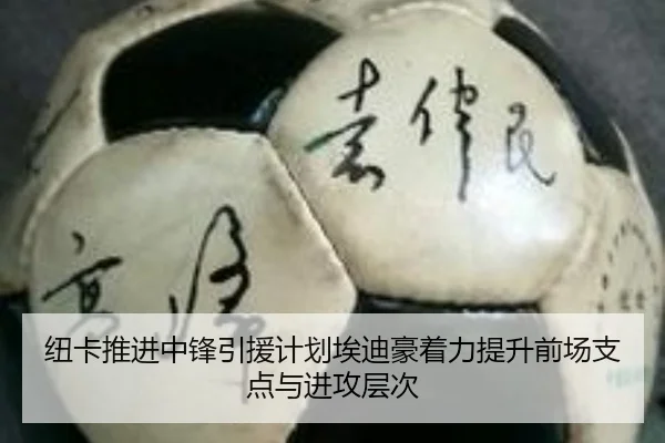 纽卡推进中锋引援计划埃迪豪着力提升前场支点与进攻层次